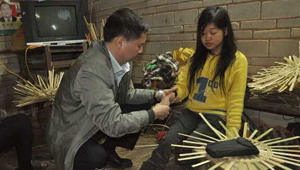 �ض�������һ��8�˻�ή���� ����֯��������